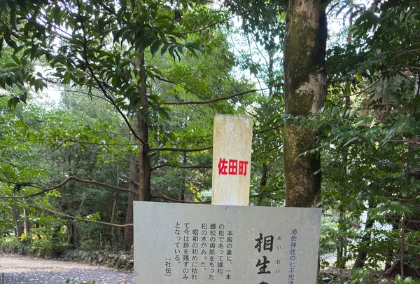 須佐神社の写真・動画_image_729786