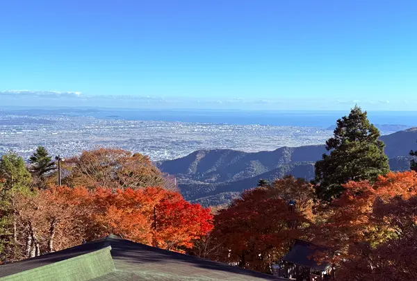 大山阿夫利神社の写真・動画_image_729975