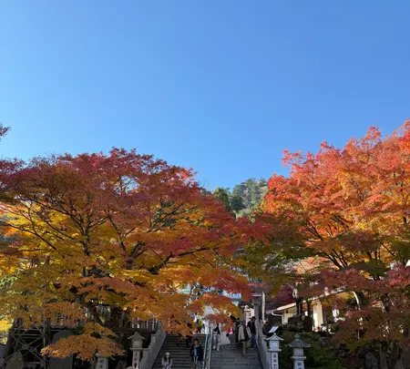 大山阿夫利神社の写真・動画_image_729977