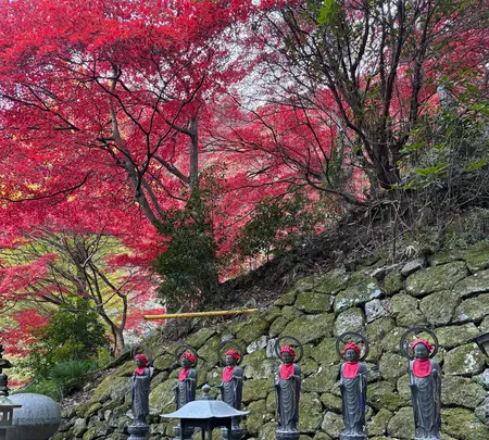 大山寺の写真・動画_image_729982