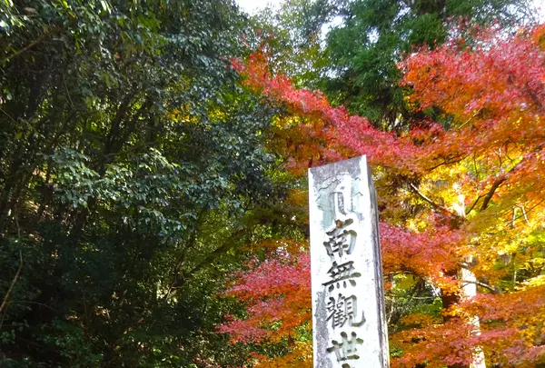 寂光院の写真・動画_image_730538