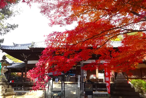 寂光院の写真・動画_image_730539