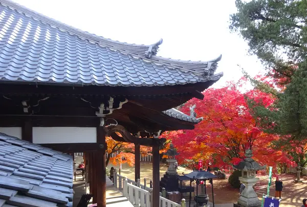 寂光院の写真・動画_image_730540