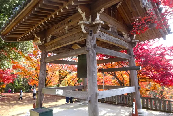 寂光院の写真・動画_image_730543