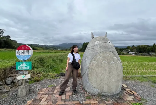高原町のトトロの写真・動画_image_731140