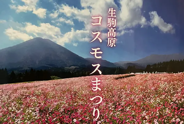 花の駅 生駒高原の写真・動画_image_731145