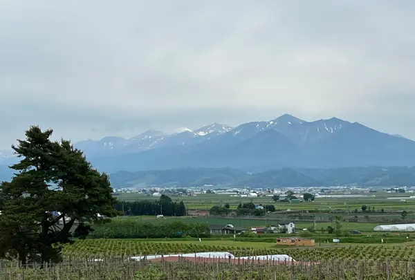 カンパーナ六花亭の写真・動画_image_731448