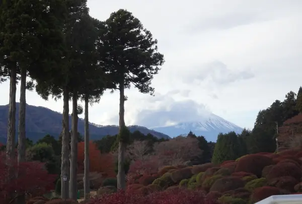 山のホテルの写真・動画_image_731735