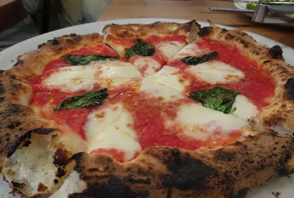 808 Monsmareの写真・動画_image_731741