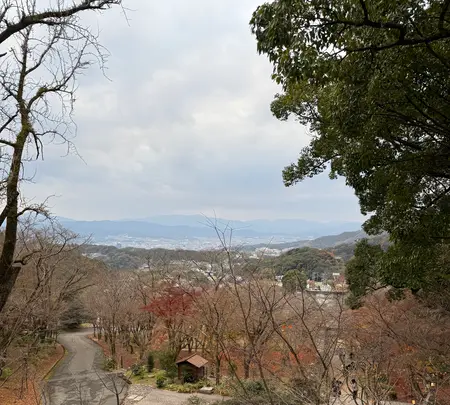 竈門神社の写真・動画_image_732599