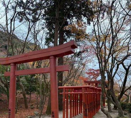 竈門神社の写真・動画_image_732600