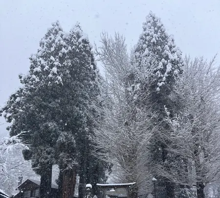 相倉合掌集落の写真・動画_image_733250