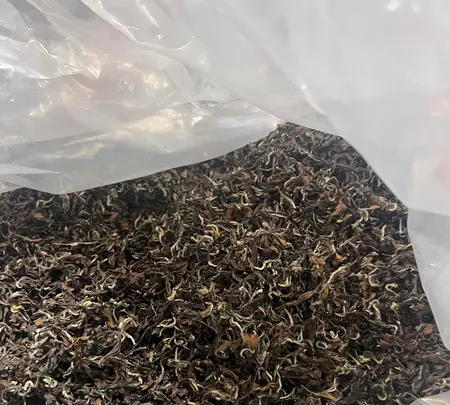 儒昌茶行の写真・動画_image_734061