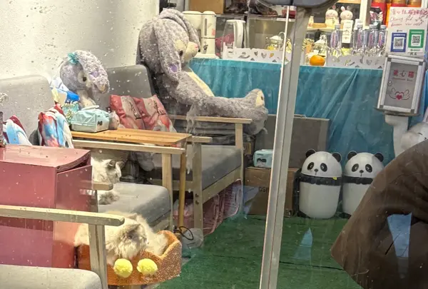 田子坊（Tianzifang）の写真・動画_image_734619