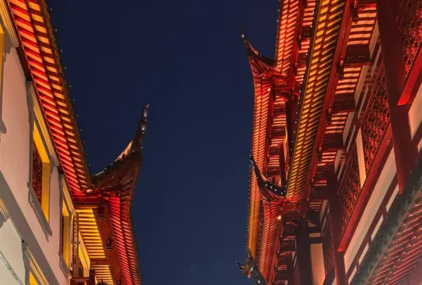 豫園（Yuyuan）の写真・動画_image_734636