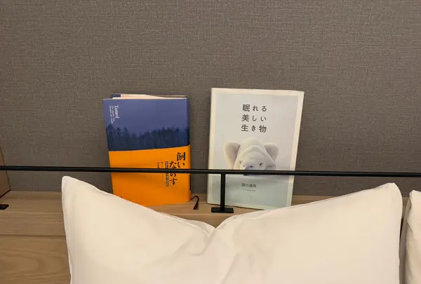 ランプライトブックスホテル札幌の写真・動画_image_734667