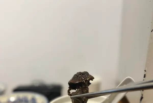 度小月担仔面の写真・動画_image_735347