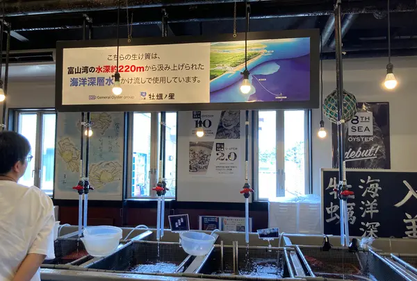 入善牡蠣ノ星の写真・動画_image_736037