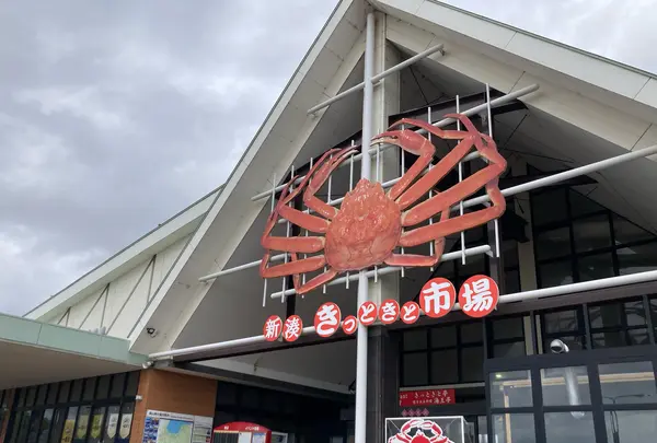 新湊大橋の写真・動画_image_736114