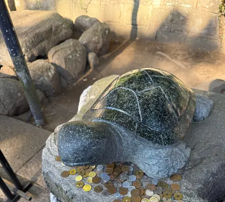 酒列磯前神社の写真・動画_image_736206