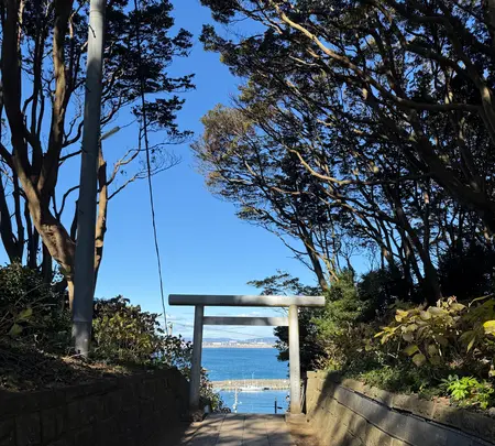 酒列磯前神社の写真・動画_image_736207