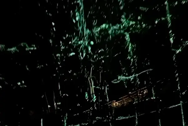 チームラボ 幽谷隠田跡の写真・動画_image_736219