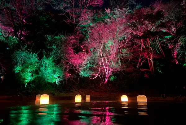 五浦 幽谷隠田跡温泉の写真・動画_image_736239