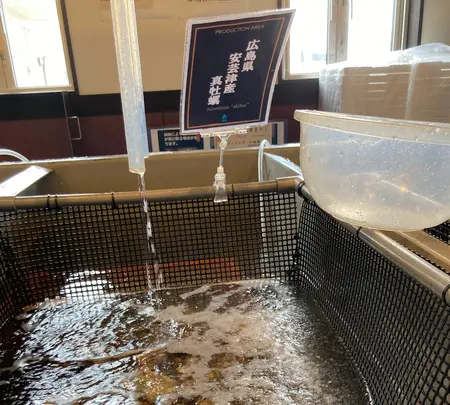 入善牡蠣ノ星の写真・動画_image_736760