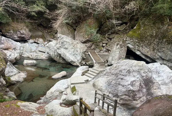 中津渓谷の写真・動画_image_736768