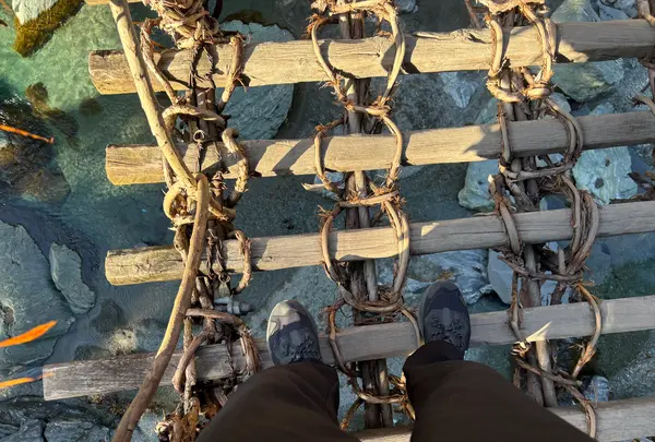 祖谷のかずら橋の写真・動画_image_736923