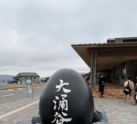 涌わくキッチンの写真・動画_image_736931