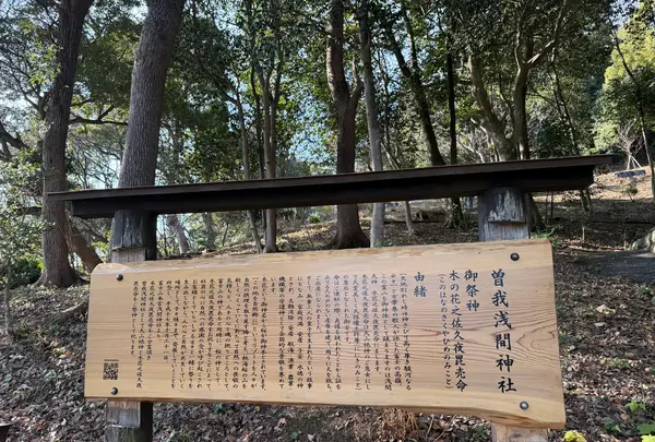曽我神社の写真・動画_image_737957