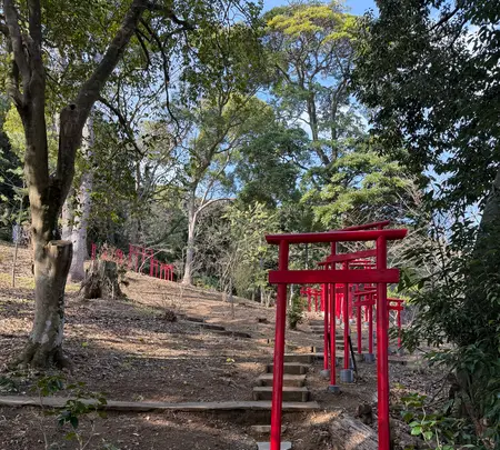 曽我神社の写真・動画_image_737958