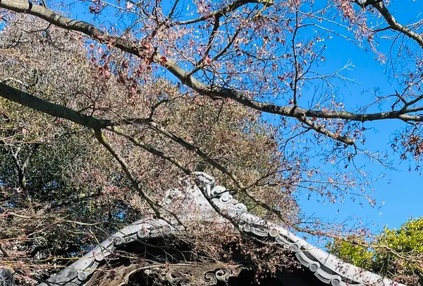 天王寺の写真・動画_image_738390