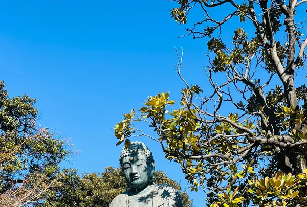 天王寺の写真・動画_image_738391