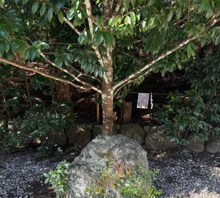 天河大弁財天社の写真・動画_image_739322