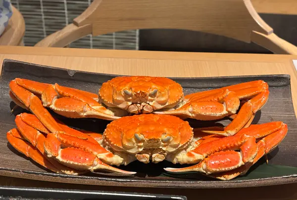 大江戸温泉物語　premium 白浜御苑の写真・動画_image_739648