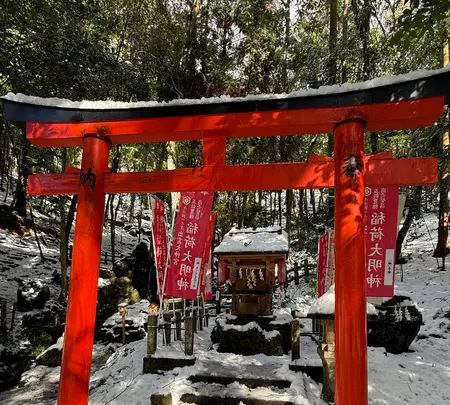 出雲大神宮の写真・動画_image_741721