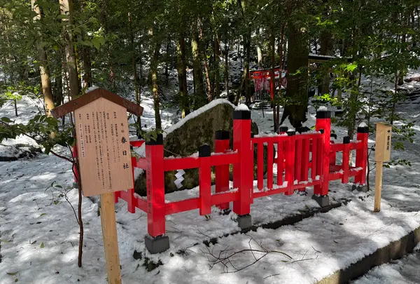 出雲大神宮の写真・動画_image_741725