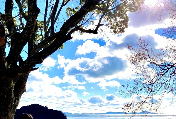 坂越港の写真・動画_image_742477