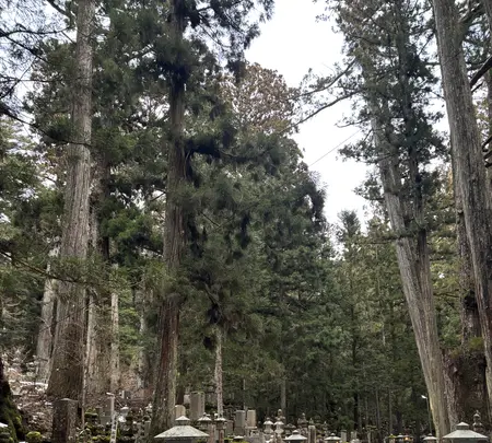 奥之院の写真・動画_image_742675