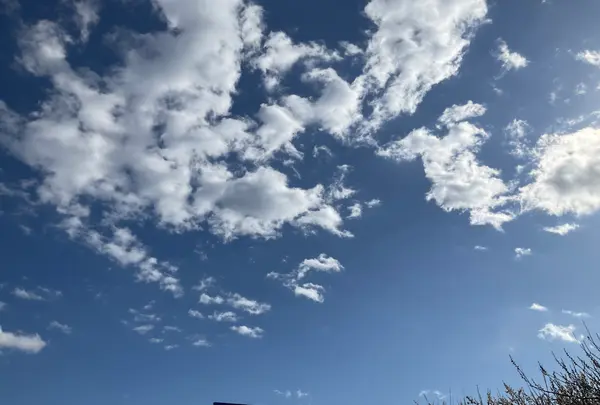 小田原牧場アイス工房の写真・動画_image_744438