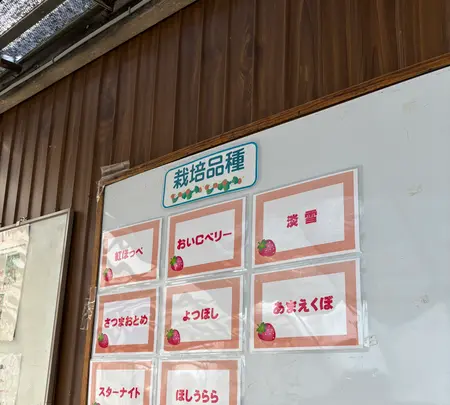 大竹いちご園の写真・動画_image_744529