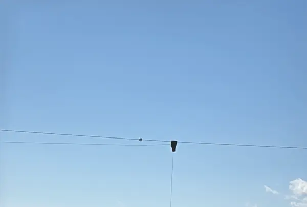 神戸須磨シーワールドの写真・動画_image_744680