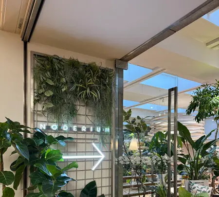 ノードリウム・京都の写真・動画_image_744701