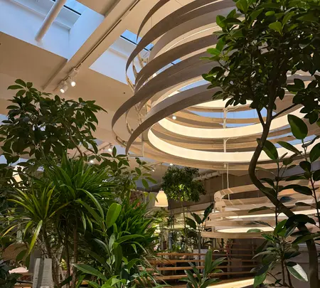 ノードリウム・京都の写真・動画_image_744703