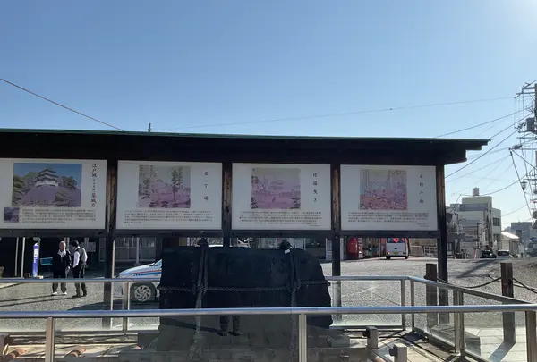 伊豆稲取駅の写真・動画_image_745657