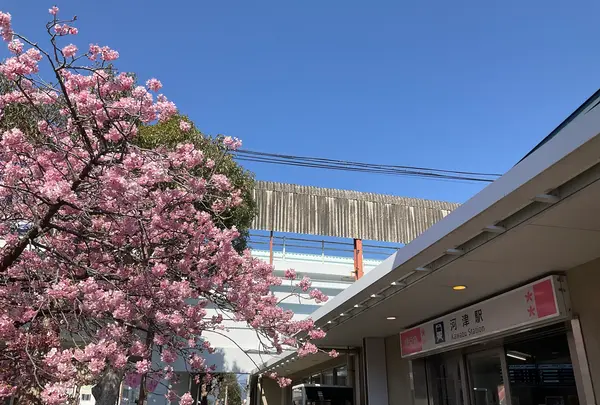 河津駅の写真・動画_image_745666