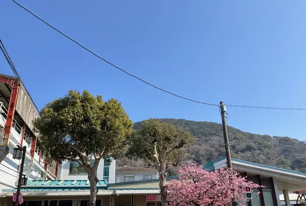 河津駅の写真・動画_image_745667
