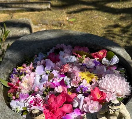 栖足寺の写真・動画_image_745702